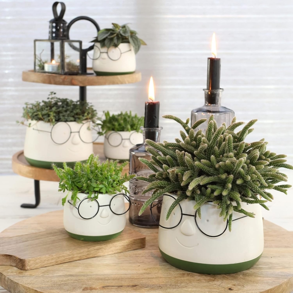 Annastore Übertopf Blumenübertöpfe in witzigem Design (Übertöpfe für Zimmerpflanzen), Blumentöpfe - Übertöpfe aus Keramik - Lustige Blumentöpfe Bild 1