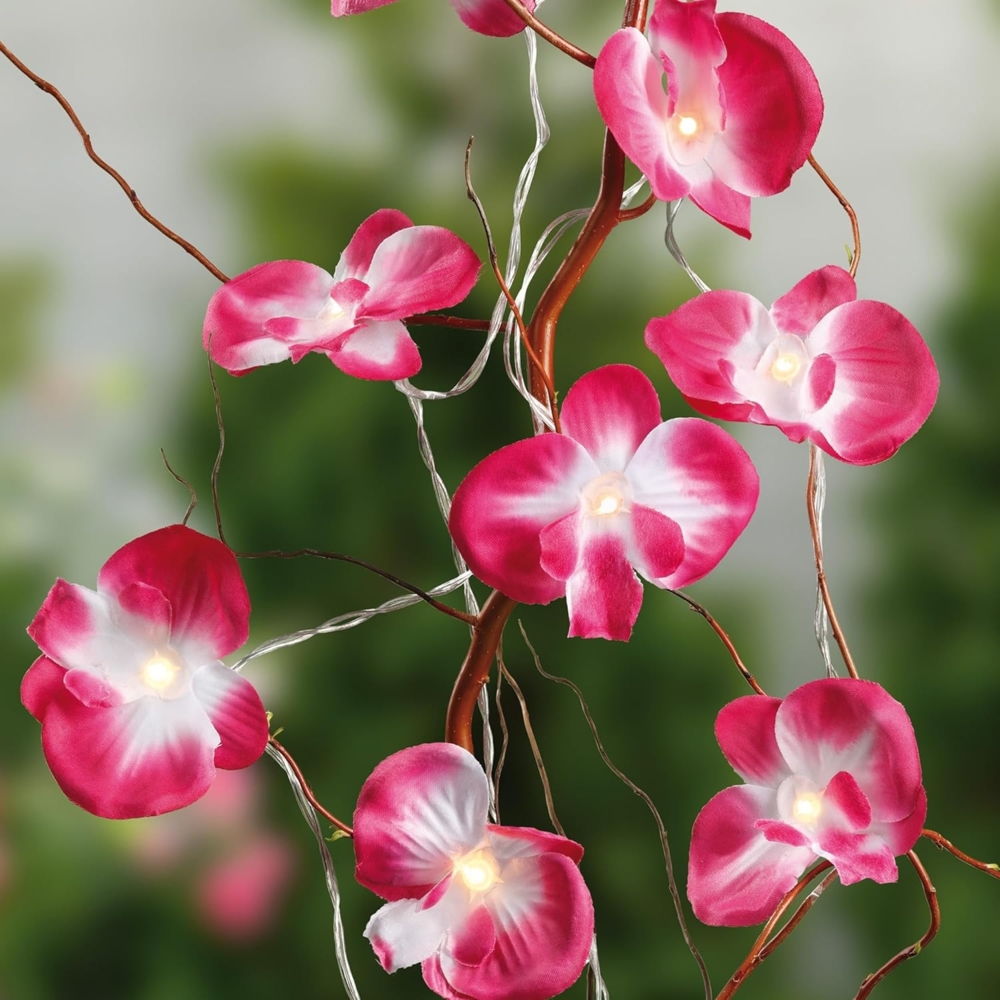 Hellum LED-Lichterkette Orchideen 10 BS innen Bild 1