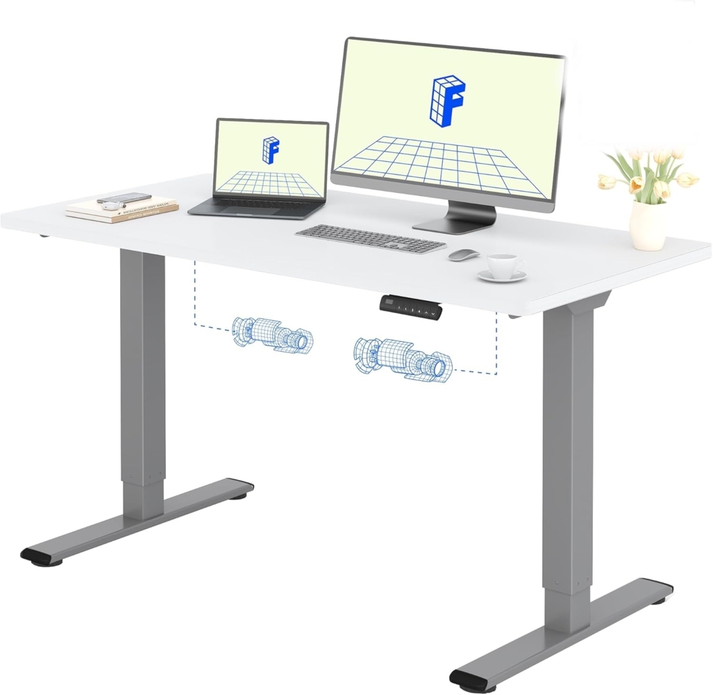 FLEXISPOT Basic Plus Elektrisch Höhenverstellbarer Schreibtisch (120x80 cm) mit Tischplatte 2-Fach-Teleskop, Sitz- & Stehpult mit Memory-Steuerung (weiß+grau Gestell) Bild 1