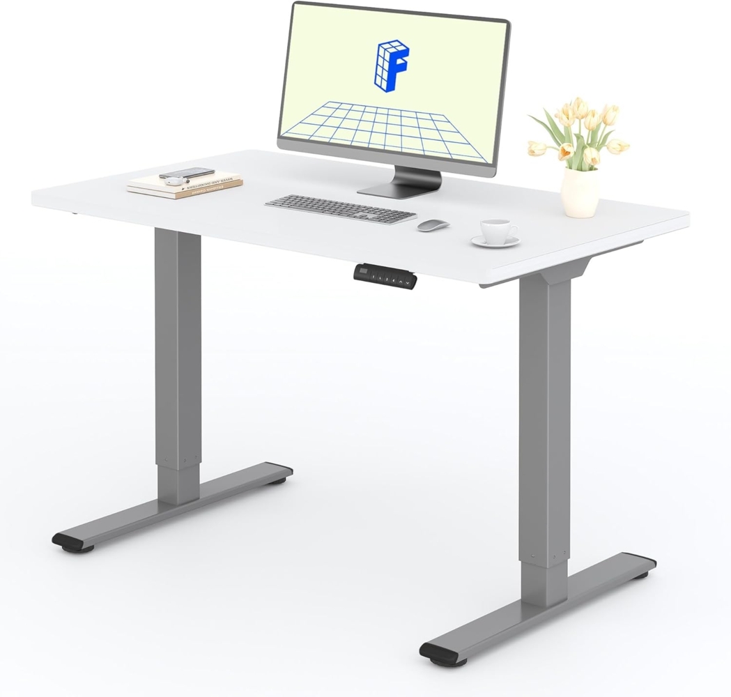 FLEXISPOT Basic Plus Elektrisch Höhenverstellbarer Schreibtisch (120x80 cm) mit Tischplatte 2-Fach-Teleskop, Sitz- & Stehpult mit Memory-Steuerung (weiß+grau Gestell) Bild 1