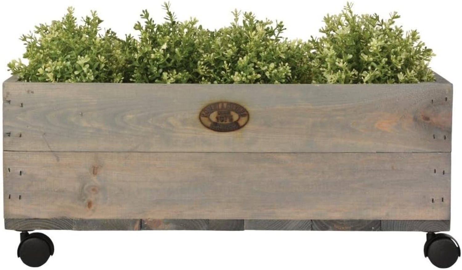 2 Stück Esschert Design Pflanzkasten auf Rollen M, 59 x 39 x 25 cm, aus Holz, Größe M, mit 4 Kunststoffrollen, Holzkiste, Holzbox, Aufbewahrungsbox Bild 1