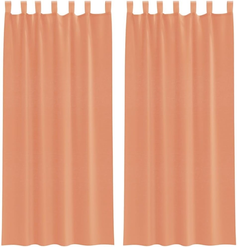 vidaXL Voile Vorhänge mit Schlaufen 2 Stk. Terrakottarot 140x225 cm 4102323 Bild 1