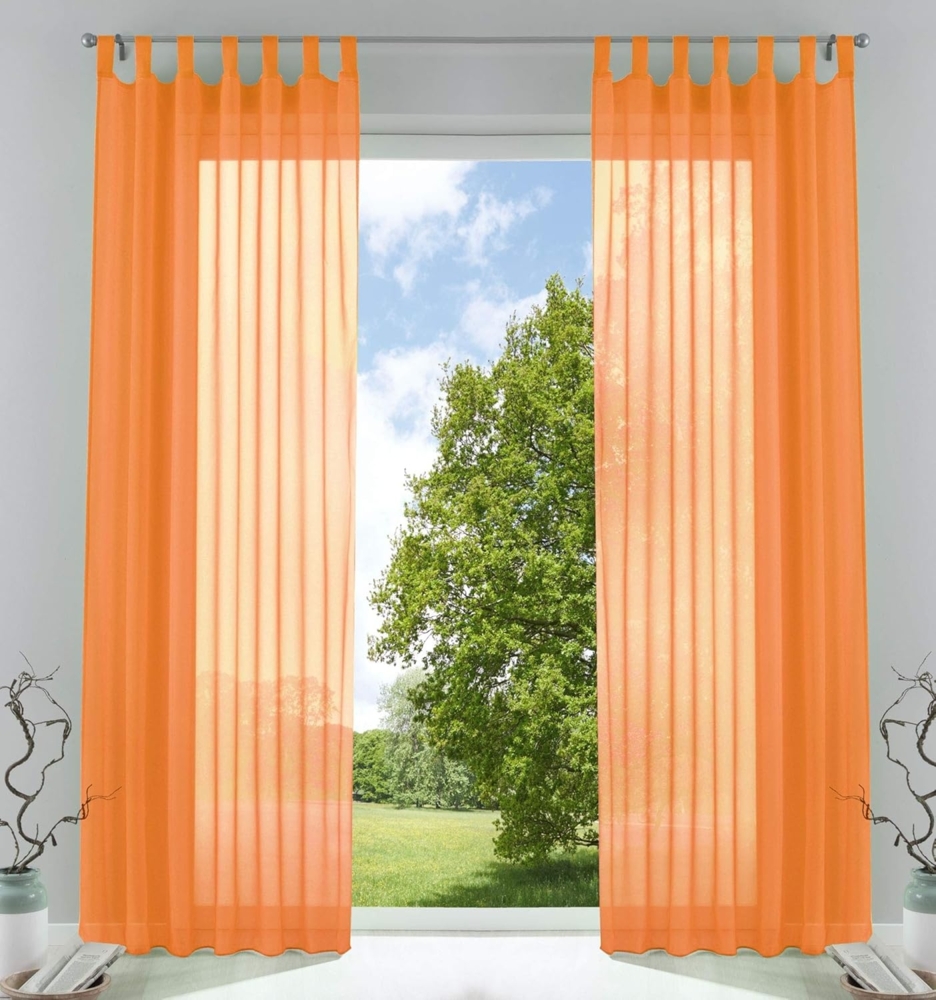Gardinenbox Gardine, Schlaufen (2 St), transparent, Voile, Transparent Vorhang Set Voile Bleibandabschluss 61000CN Bild 1
