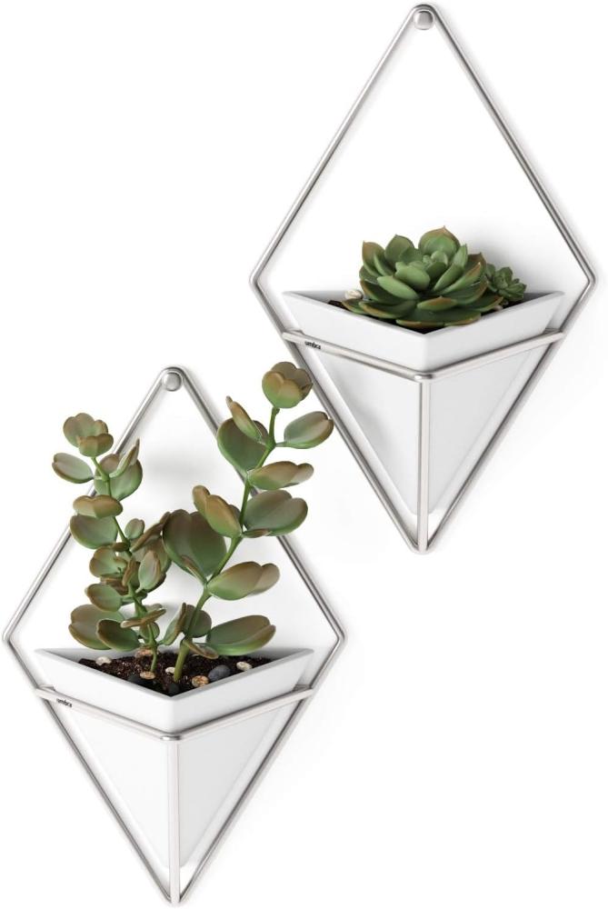 Umbra Trigg Wandvase & Geometrische Deko - Übertopf Für Zimmerpflanzen, Sukkulenten, Luftpflanzen, Kakteen, Kunstpflanzen und Mehr, Weiss/Nickel, 2er-Set, Klein Bild 1