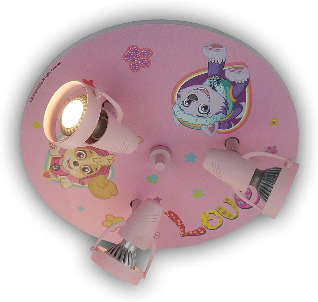 Niermann Strahler Paw Patrol - Pawsitive Pups Bild 1