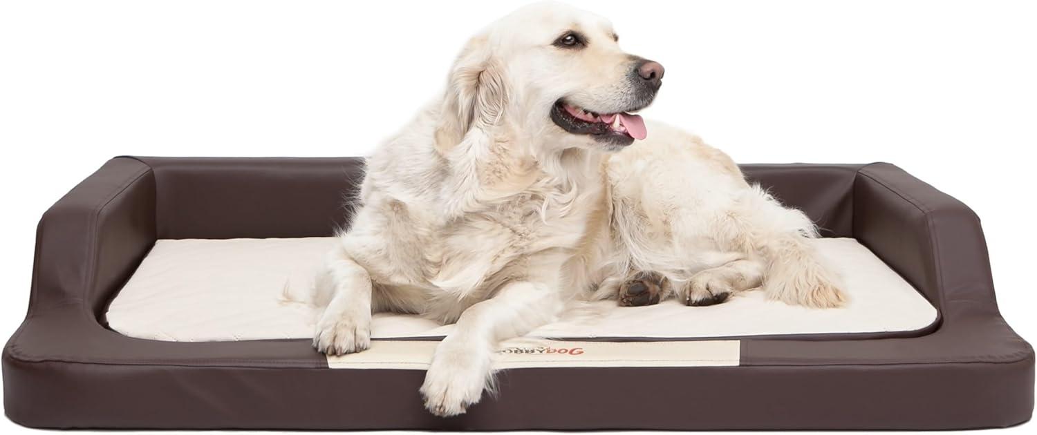 Bjird Tierbett Ergonomisches Hundebett Medico aus Kunstleder, orthopädische Hundesofa mit Memory Foam, Für kleine, mittelgroße und große Hunde, Bezug abnehbar und waschbar Bild 1