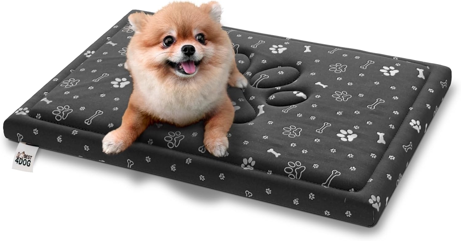 FDM FIFI wasserdichtes Hundebett 70x100x5 cm Polyurethanschaum mit waschbarem Bezug Grau/Silber Bild 1