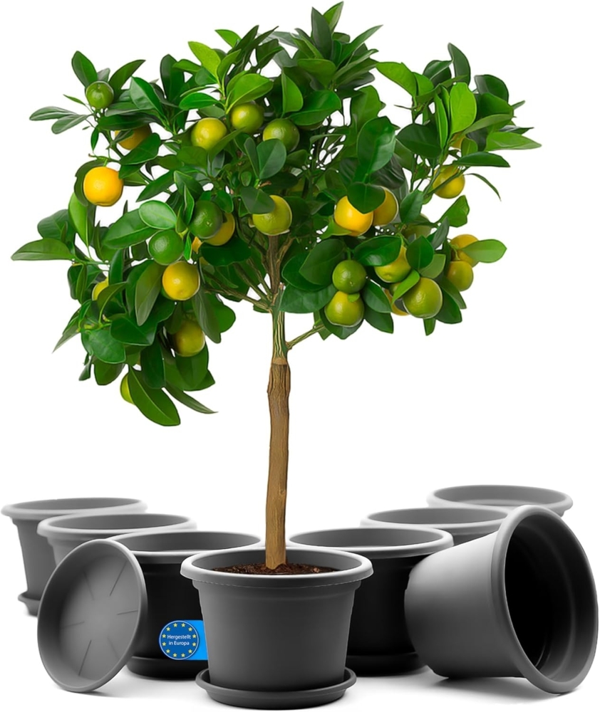 BigDean 8 Stück Blumentopf mit Untersetzer rund ø 35 cm Anthrazit – wetterfester Pflanzkübel Made in Europe Bild 1