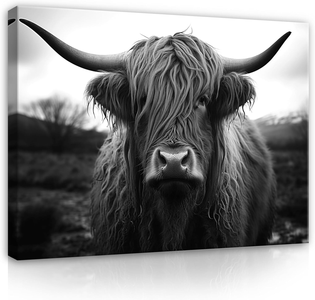 Wallarena Leinwandbild Schottisches Hochlandrind Grau Kuh Highland Schwarz Weiß Wandbilder, Schwarzweiss (Einteilig, 1 St), Bilder Klein Wohnzimmer Schlafzimmer Küche Wandbild Wand Deko 40x30 Bild 1