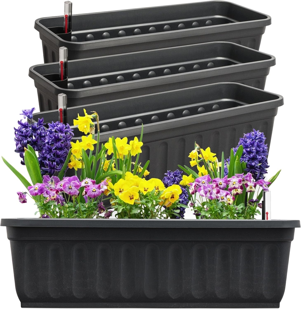 Hausfelder Blumenkasten Balkonkasten mit Wasserstandsanzeiger, Pflanzkasten 4er Set, 60cm (4er Set, 4 St, Jedes Set enthält: Füllstandsanzeiger, Boden, Pflanzkasten), Blumenkästen UV- und witterungsbeständig für innen und außen, matt Bild 1