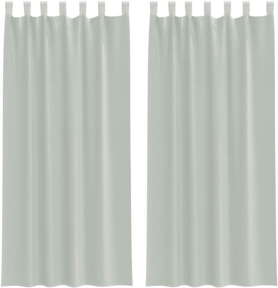 vidaXL Voile Vorhänge mit Schlaufen 2 Stk. Hellgrau 140x245 cm 4102299 Bild 1