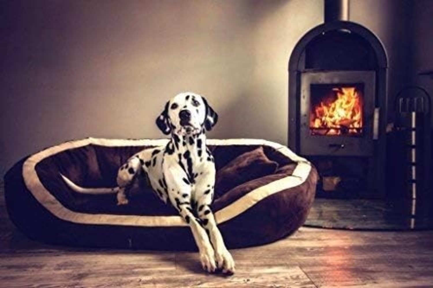 PEPPER SOFT Orthopädisches Hundesofa - 160x130cm, 03 Schwarz Bild 1