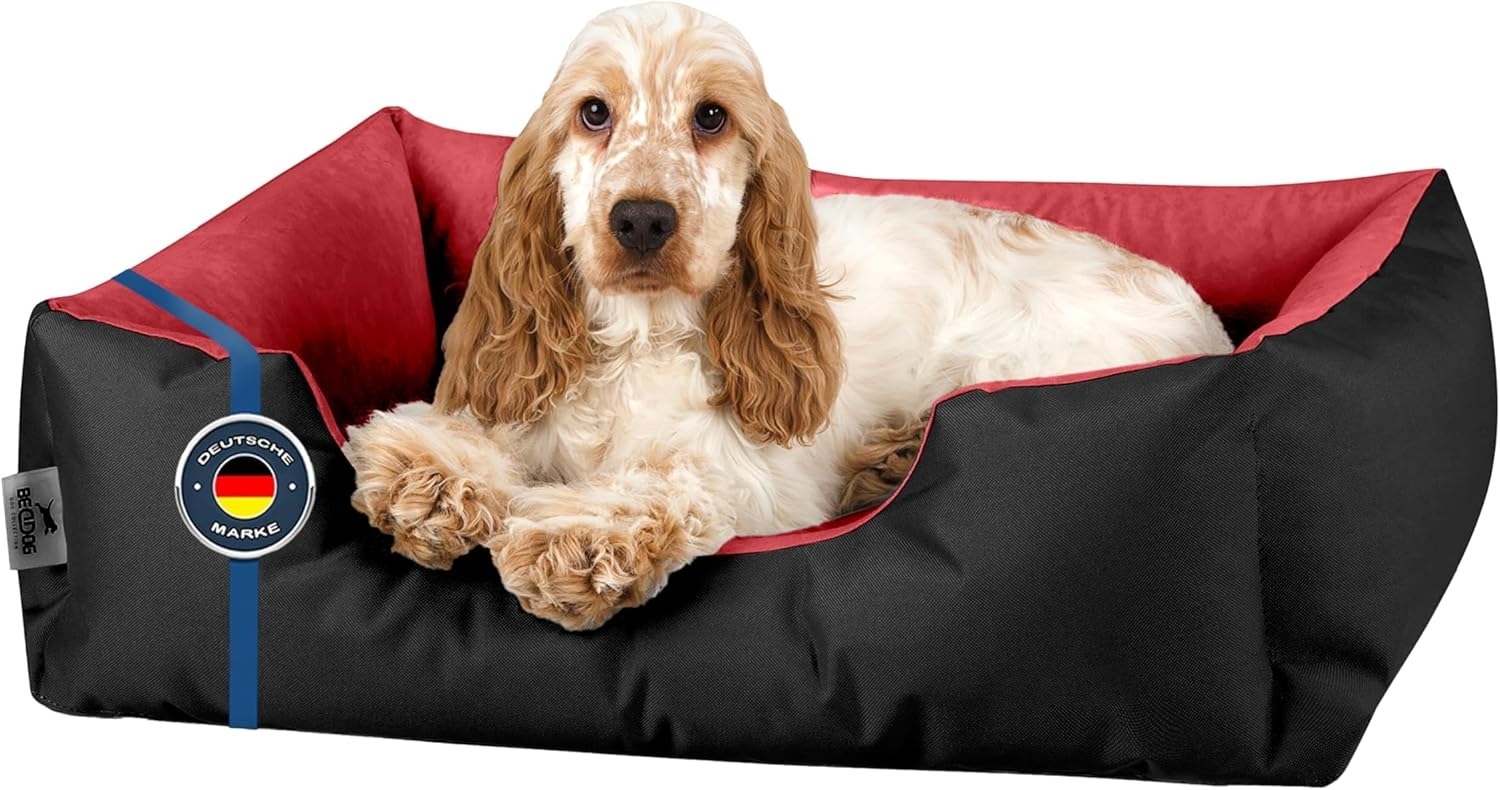 BedDog Hundebett LUPI, Hundesofa aus Cordura, Microfaser-Velours, waschbares Hundebett mit Rand, Hundekissen vier-eckig (S) ca. 55x40x17cm, OBSYDIAN (schwarz/rot) Bild 1