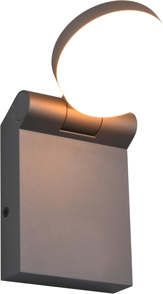 LED Außenwandleuchte ADOUR Leuchtenkopf einstellbar, Schwarz Höhe 19cm Bild 1