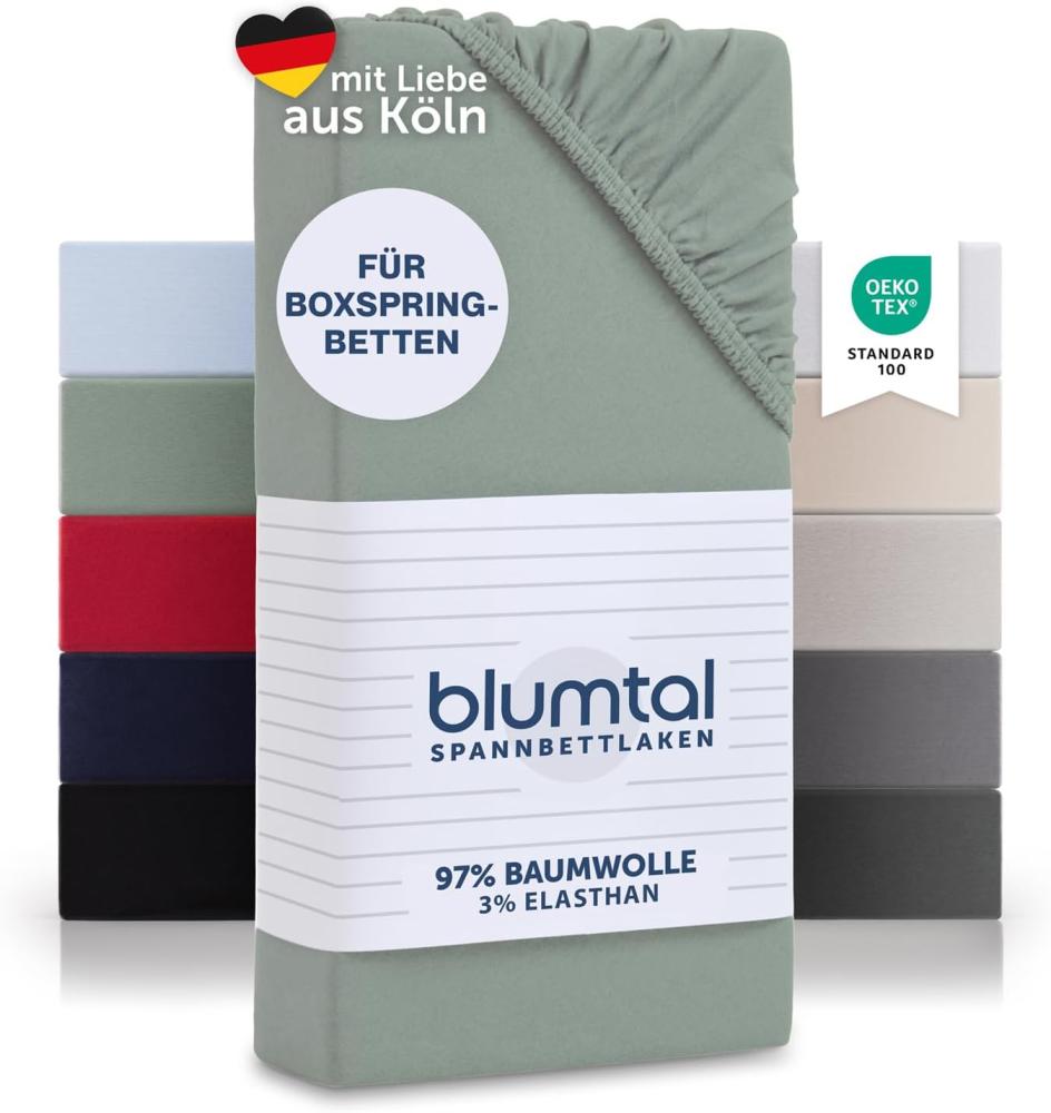 Blumtal Luxus Spannbettlaken 180x200cm Boxspringbett 2er Set bis 40cm Höhe - Oeko-Tex Zertifizierte Baumwoll Bettlaken 180x200 Boxspringbett - Spannbettlaken 180x200cm Baumwolle - Summer Green Bild 1