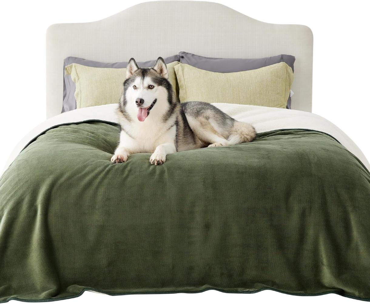 Lesure wasserdichte Hundedecke Grosse Hunde - 274x218cm waschbar Hundedecke Outdoor, Fleece Sofaschutz Decke groß, Katzendecke flauschig für Couch, Olivgrün Bild 1