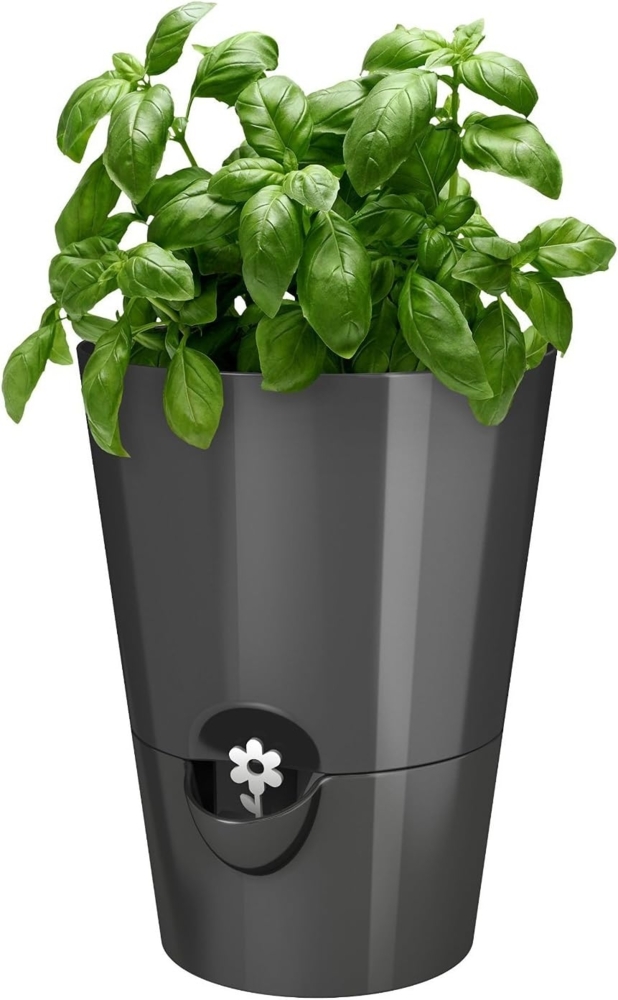 Emsa Kräutertopf 17 x 13 cm mit Selbstbewässerung (Anzahl, 1 St, Stück), Topf mit separatem Boden zur Bewässerung Bild 1