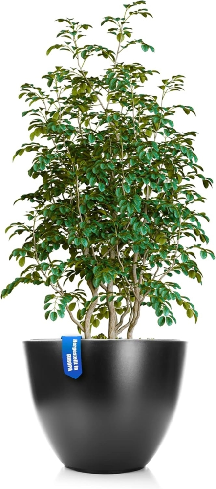 BigDean Blumentopf Pflanzkübel XL ø 47 cm anthrazit wetterfester Blumenkübel Bild 1