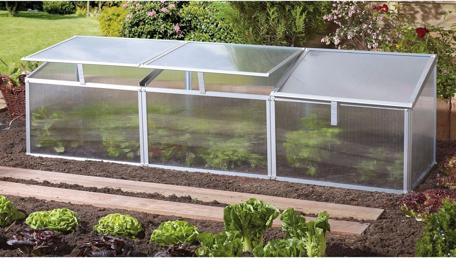 Vitavia Frühbeet Gaia 3X HKP 4mm 3 Dachfenster BxTxH 53x180x51cm Alu eloxiert Bild 1