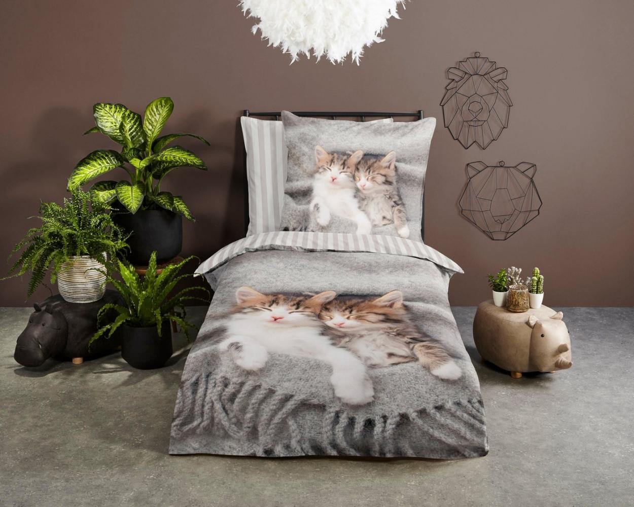 PURE luxury collection Kinderbettwäsche Snooze, Microfaser, 2 teilig, Mikrofaser, 135x200, Pflegeleicht, Reißverschluss, Wende, Kind, Katze Bild 1