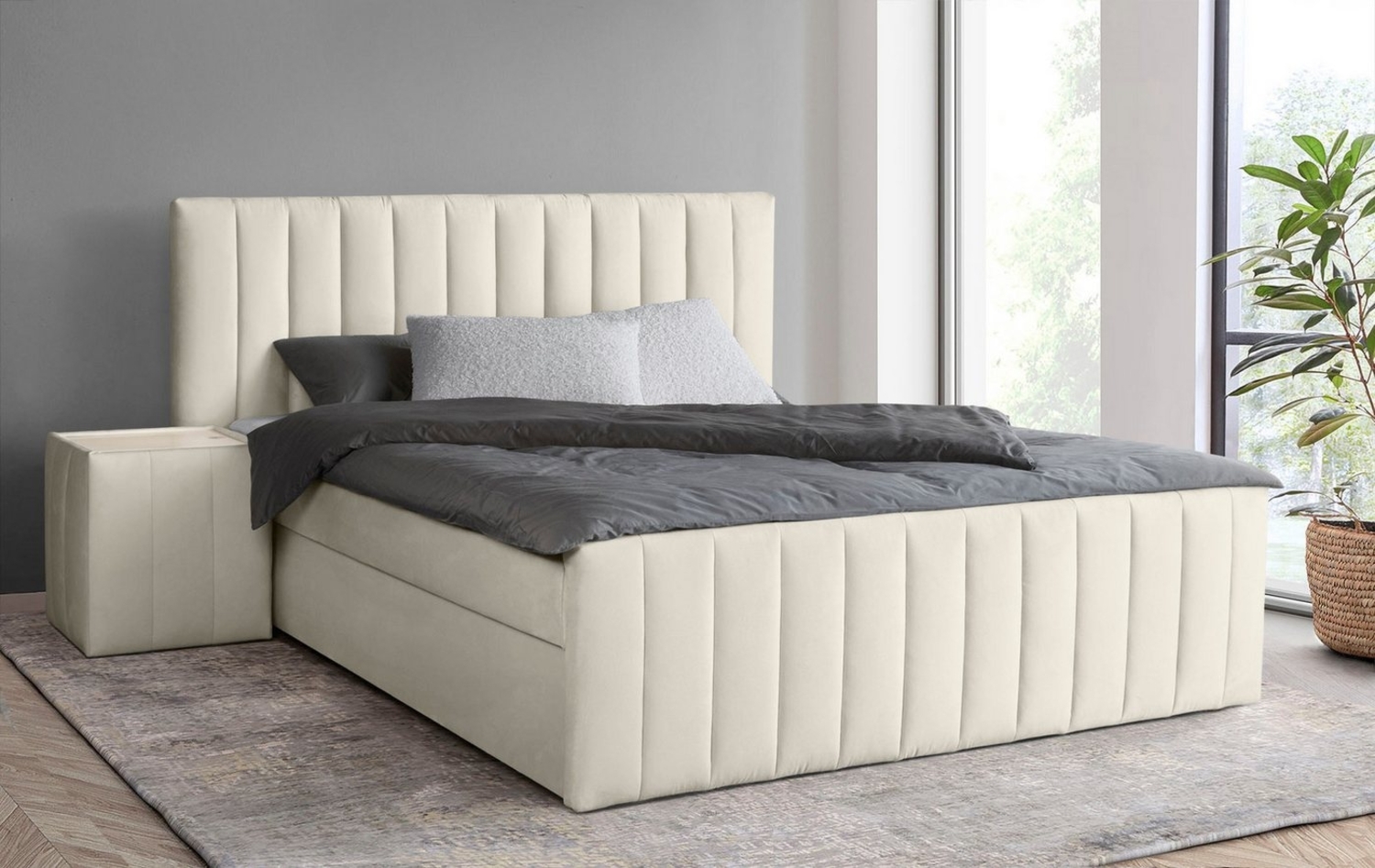 INOSIGN Boxbett Effy inkl. Bettkasten und Topper, erhältlich in der Breite 180x200cm, verschiedene Härtegrade wählbar Bild 1