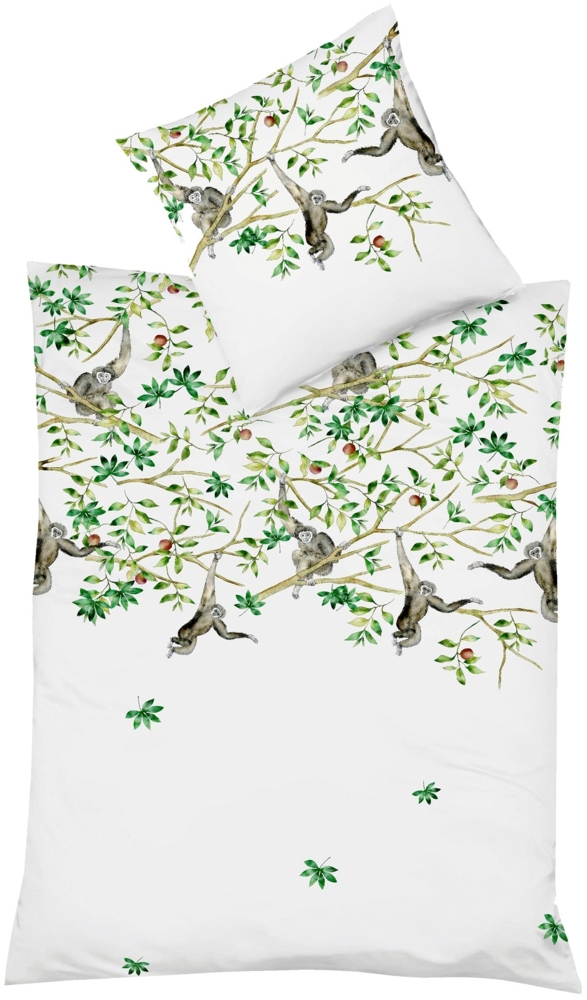 Fleuresse Mako-Satin Bettwäsche 155x220 Affen Äste Blätter Lianen 114053-5 Bild 1