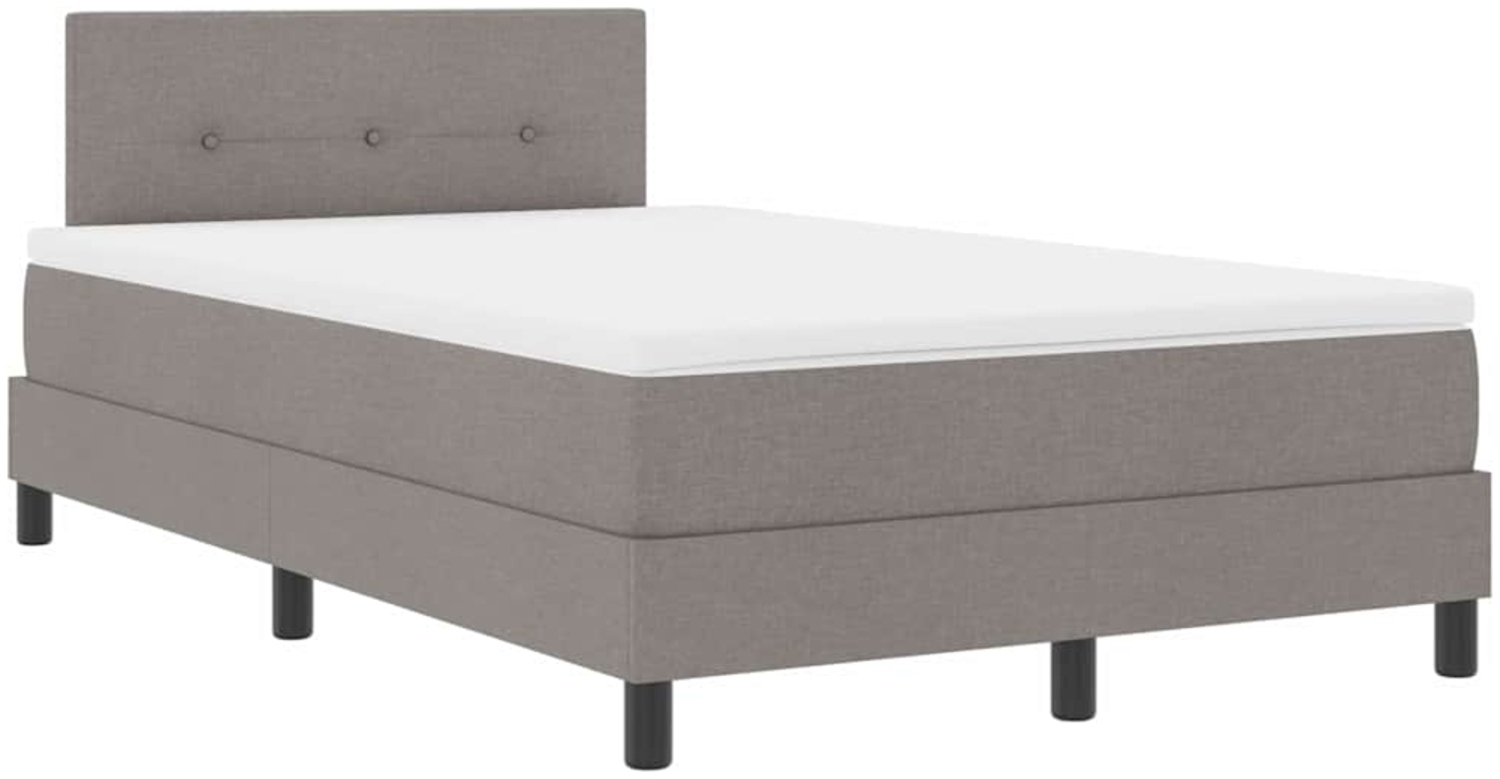 vidaXL Boxspringbett mit Matratze Taupe 120 x 200 cm Stoff 3342202 Bild 1