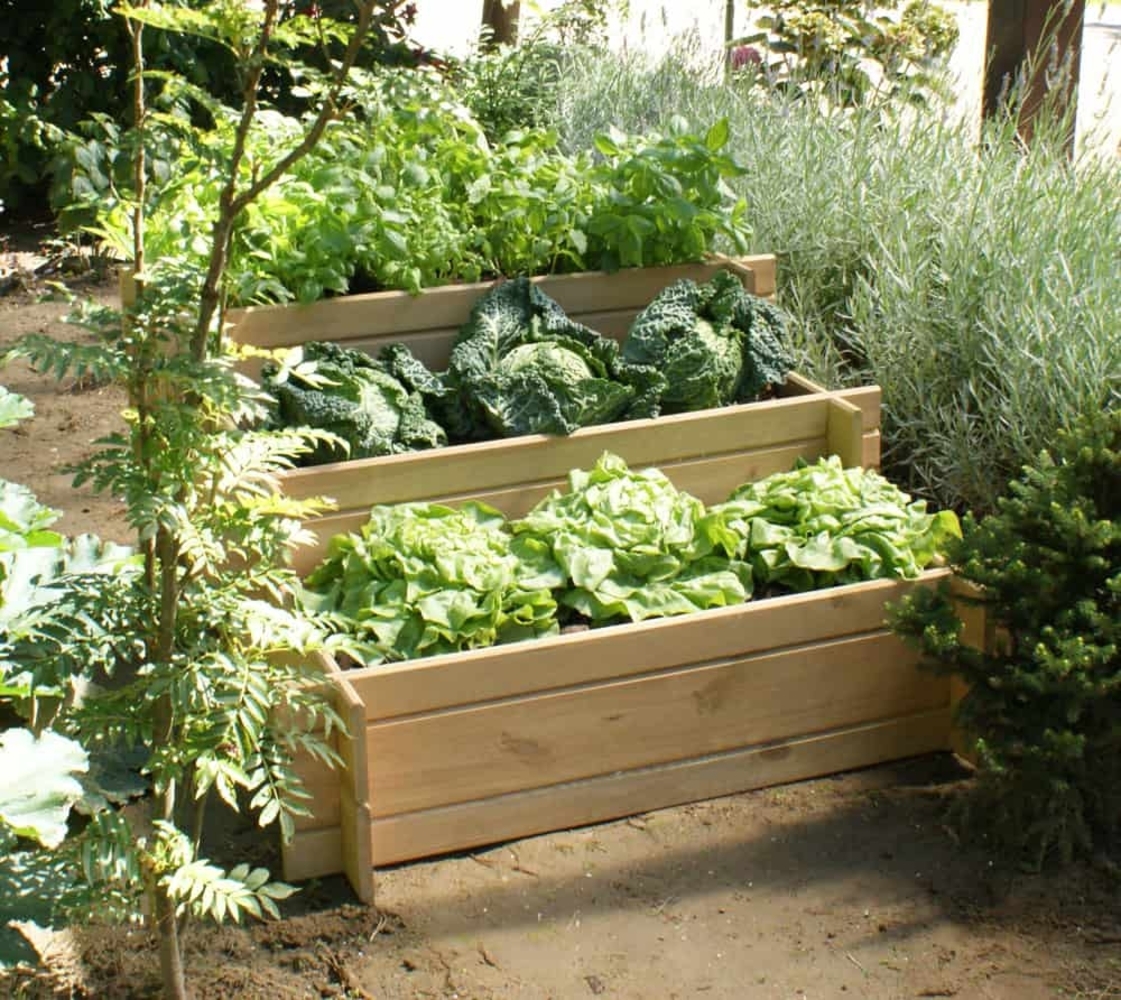 Westmann Holz Hochbeet Karla | Natur | 119x99x52 Bild 1