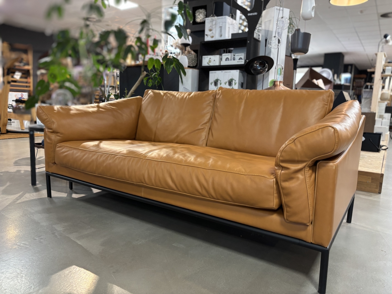 EVA SOLO 5 Crush 11 Sofa 2 Pers. 900x1740, Leder Envy Cognac - Austeller- Bild 1