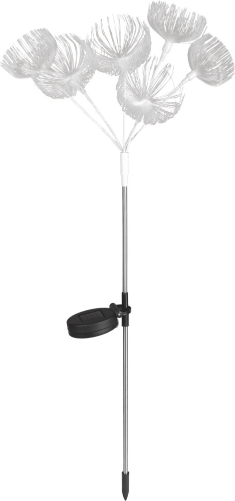 Light & More LED Solarleuchte Blumen weiß Bild 1