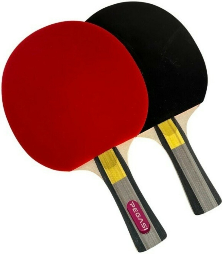 Pegasi Tischtennisschläger 4 Sterne Advanced Bild 1