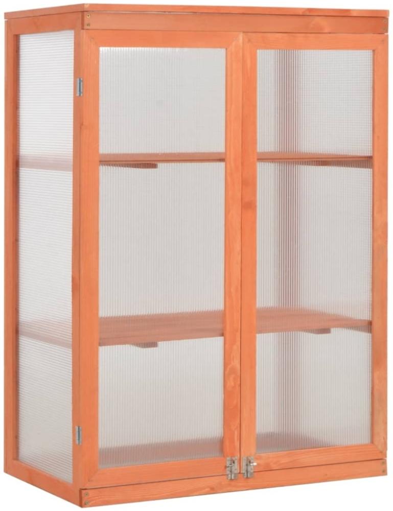 vidaXL Gewächshaus-Schrank Holz 75x47x109 cm 170646 Bild 1