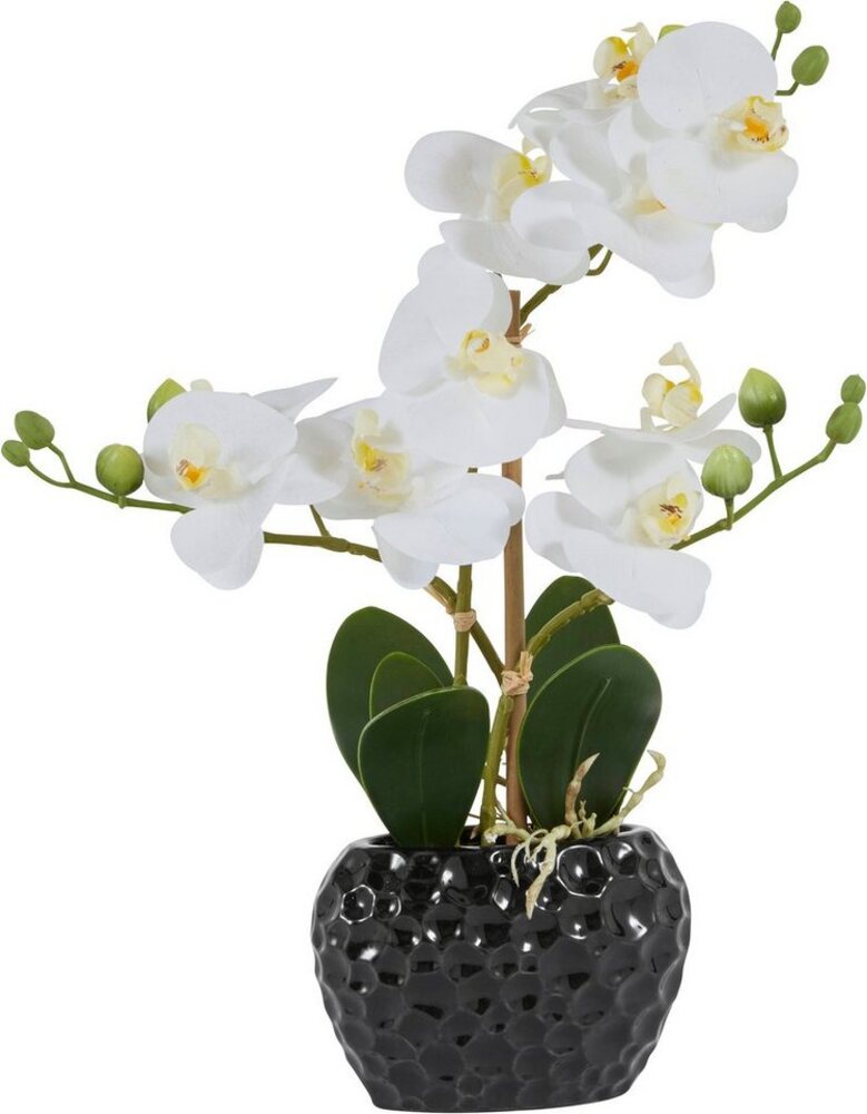 Kunstpflanze Orchidee Orchidee, Leonique, Höhe 38 cm, Kunstorchidee, im Topf, Bestseller, über 2500 4,5-Sterne-Bewertungen Bild 1