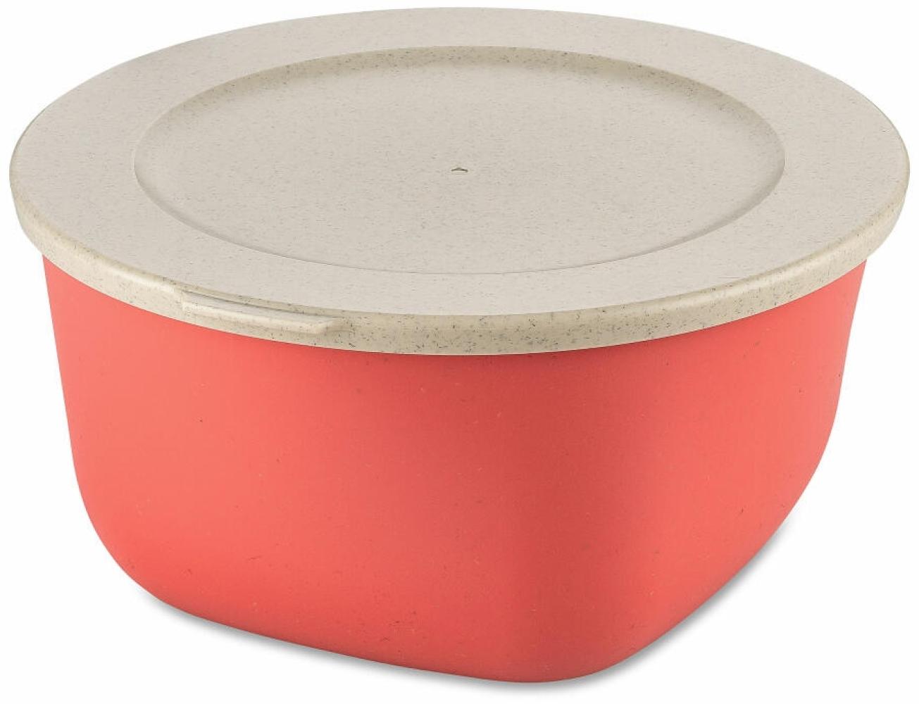 Koziol Dose Connect Box mit Deckel, Schüssel, Schale, Kunststoff-Holz-Mix, Nature Coral, 2 L, 7871704 Bild 1