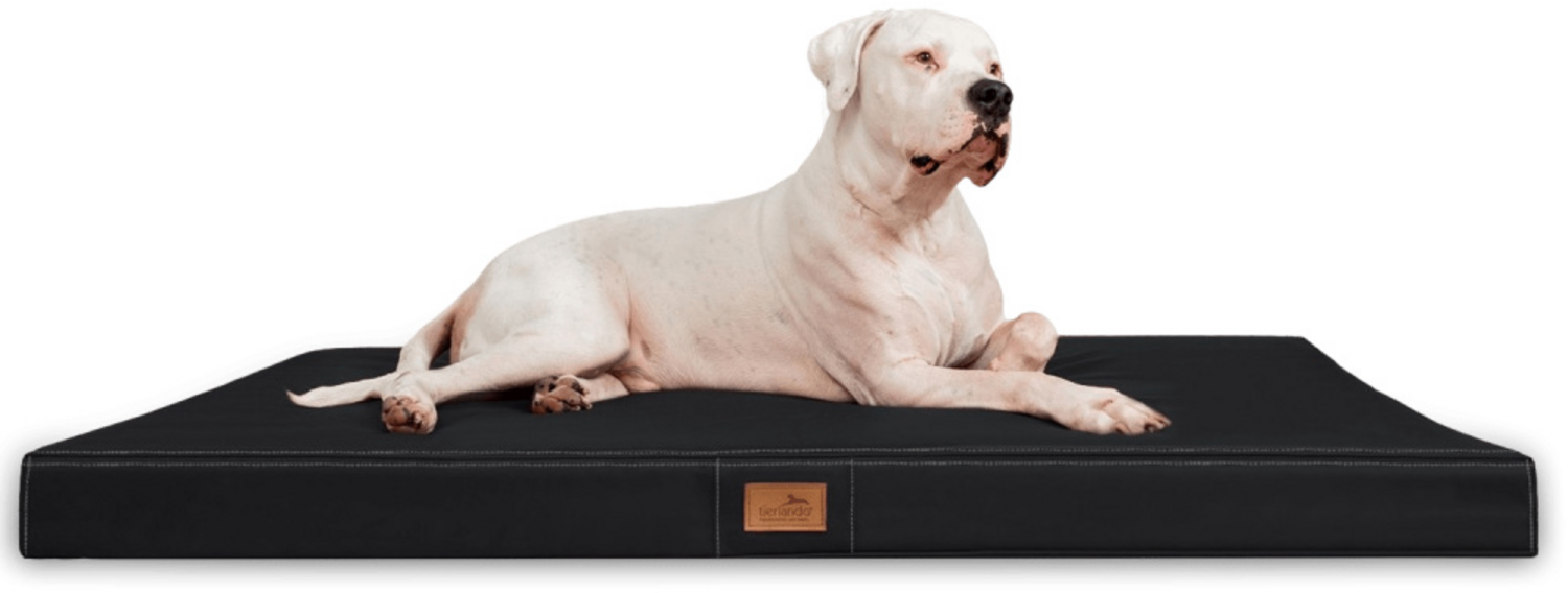 OSCAR EASY CLEAN Orthopädische Hundematratze - 100x80cm, 03 Schwarz Bild 1
