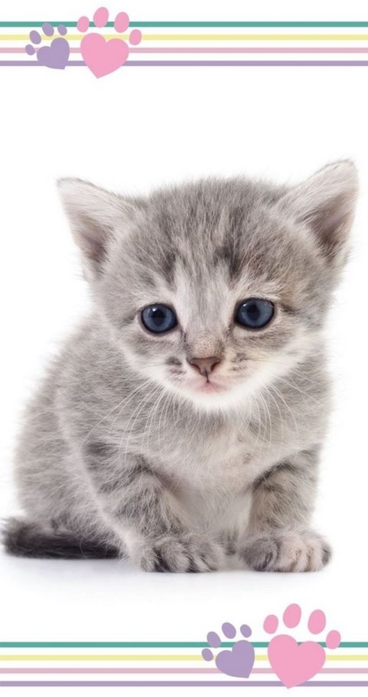 Duschtuch Badetuch Handtuch Strandtuch mit Katze 70x140 cm Bild 1