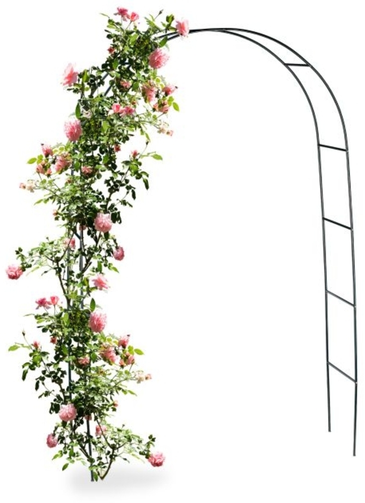 2x Torbogen Rankhilfe aus Metall 240 cm 10012650 Bild 1