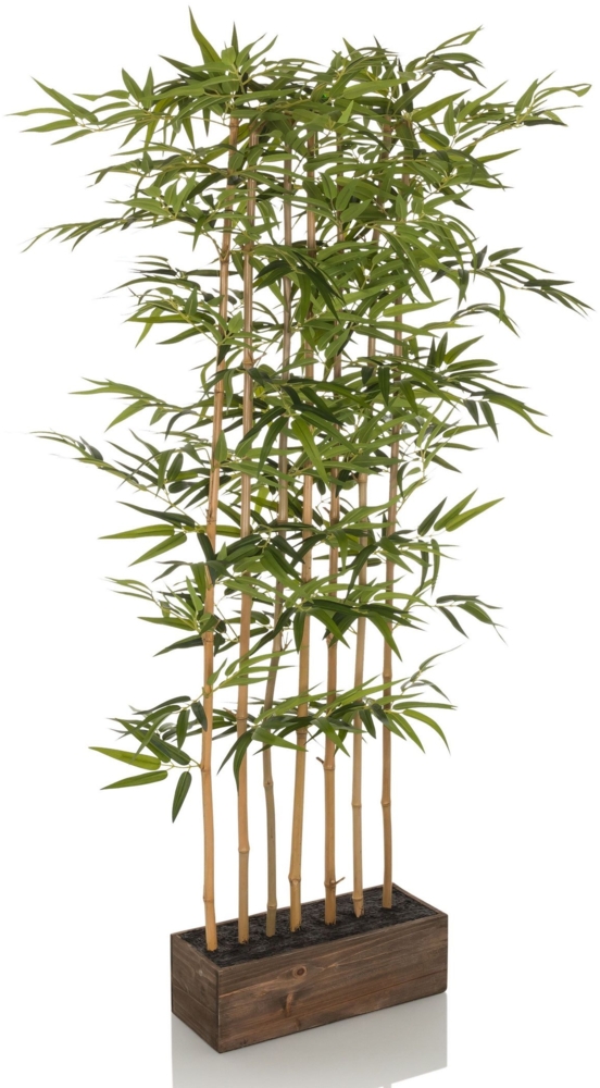 bümö plants Sichtschutz - Täuschend echter Bambus Wall, geruchloser Premium Raumtrenner für lebendiges Ambiente - authentische, künstliche Pflanzen als Deko für's Wohnzimmer, Büro & mehr, BUP-bambus-wand Bild 1