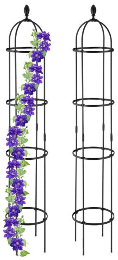 Rankhilfe 190 cm 2er Set Bild 1