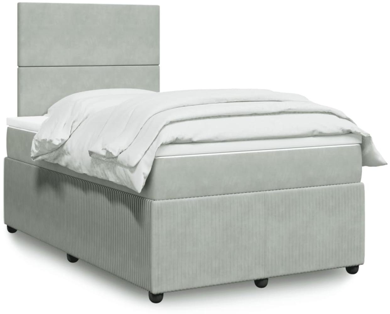 vidaXL Boxspringbett mit Matratze Hellgrau 120x200 cm Samt 3294604 Bild 1