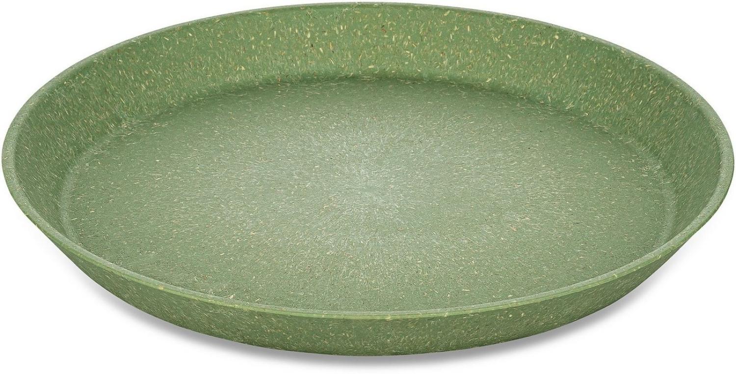 Koziol Kleiner Teller 4er-Set Connect Plate, Kuchenteller, Kunststoff-Holz-Mix, Nature Leaf Green, 20. 5 cm, 7100703 Bild 1