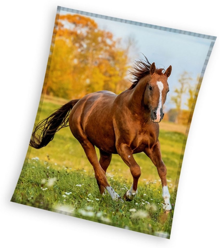 Wohndecke Horses Coral Fleecedecke Kuscheldecke 150 x 200 cm, Carbotex Bild 1