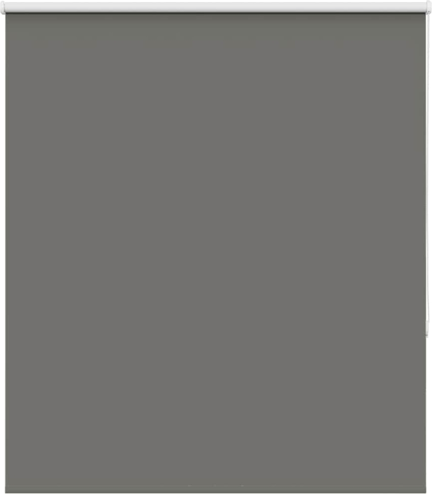 vidaXL Verdunkelungsrollo Grau 130x130cm Stoffbreite 126,6cm Polyester 4011108 Bild 1