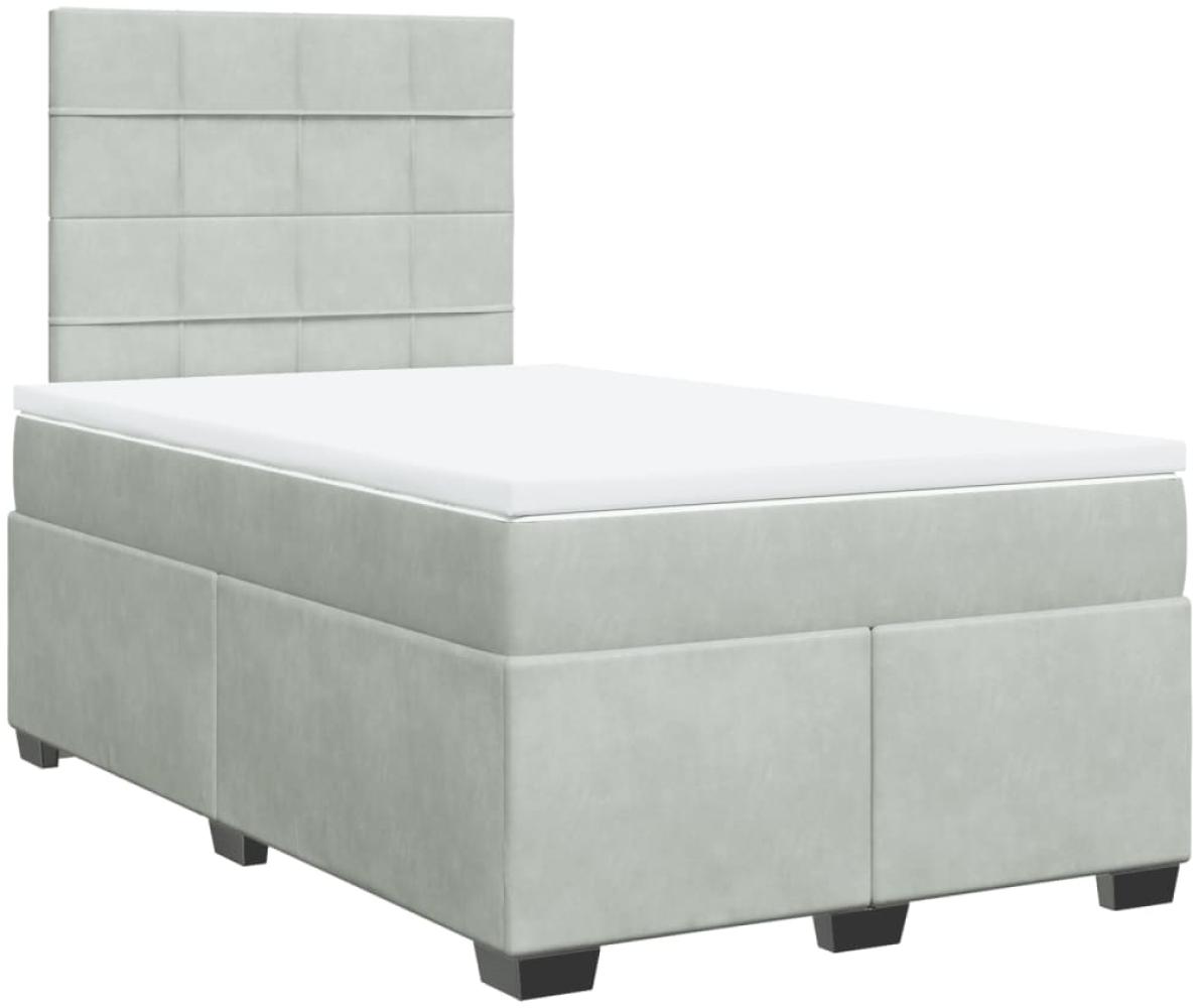 vidaXL Boxspringbett mit Matratze Hellgrau 120x200 cm Samt 3290882 Bild 1