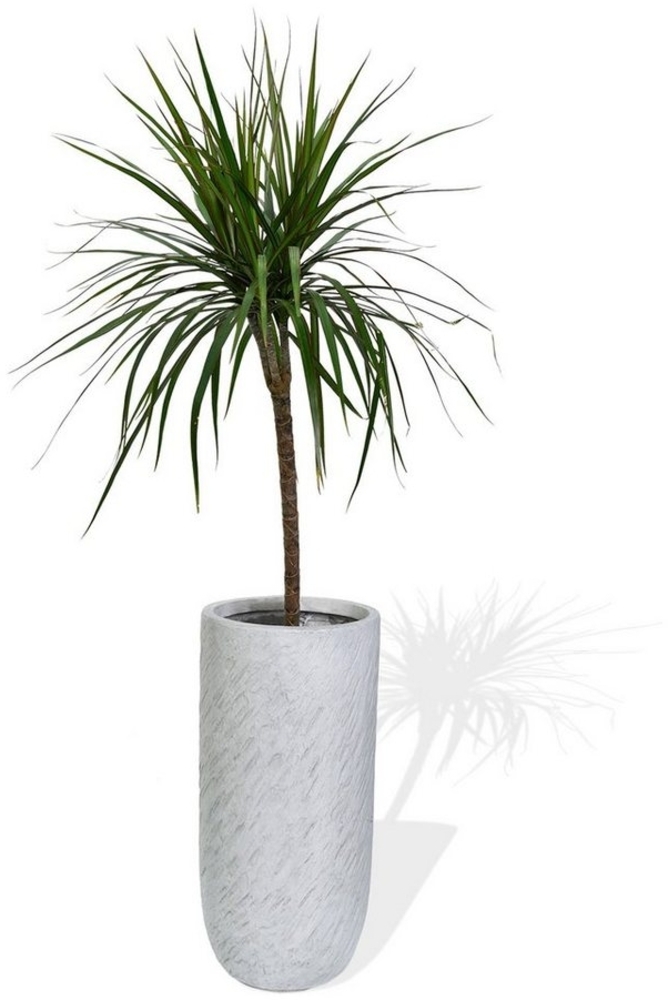 Köhko Pflanzkübel KÖHKO® Blumenkübel aus Fieberglas Pflanzkübel Rund Übertopf Bild 1