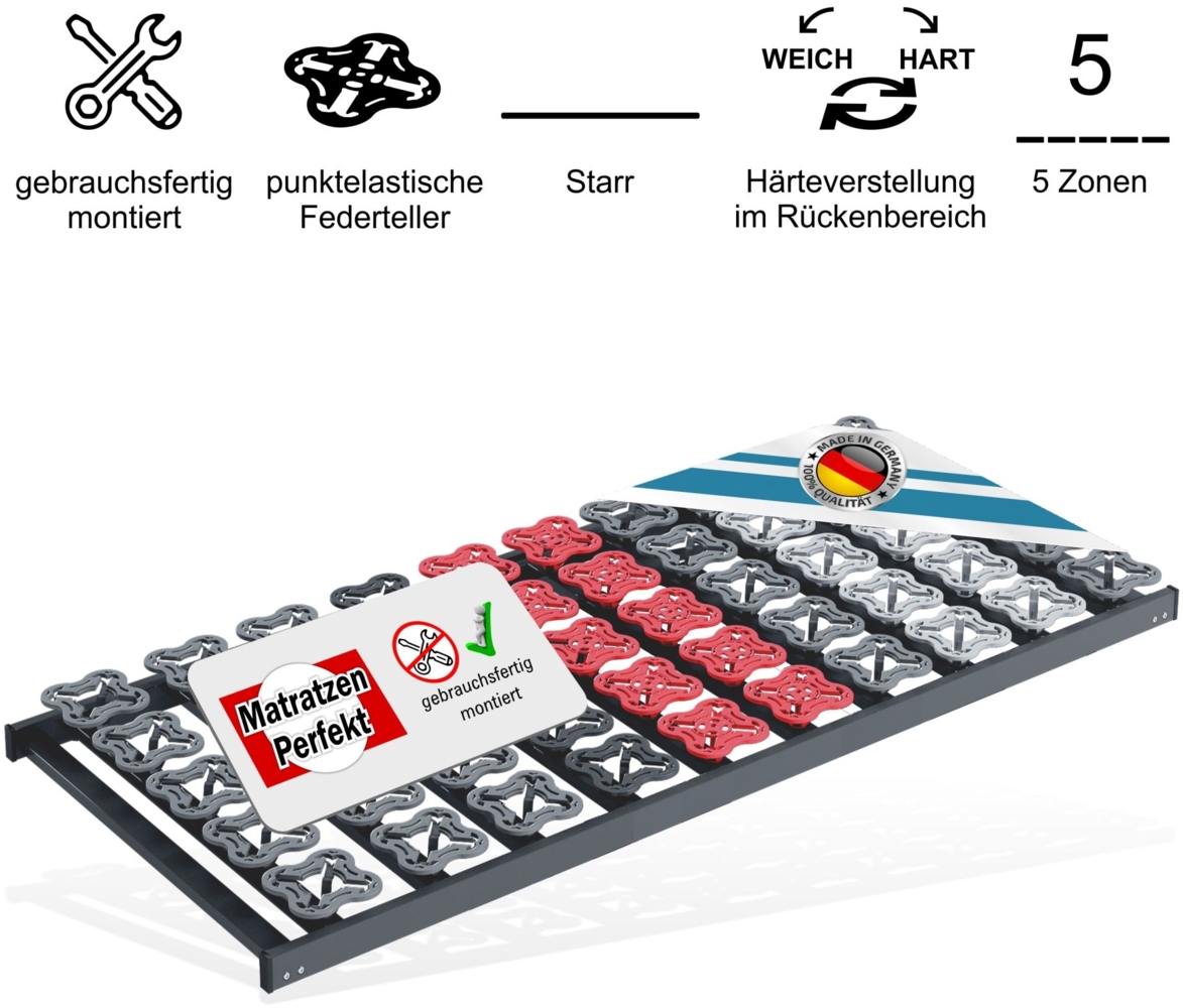 Setangebot 2x TerraMed T-Flex Teller-Lattenrost. nicht verstellbar Bild 1