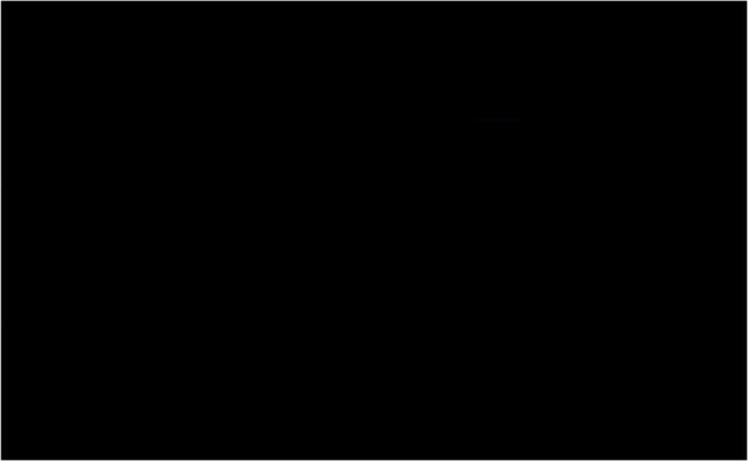 vidaXL Poolabdeckung Schwarz 260x160 cm PE 92162 Bild 1