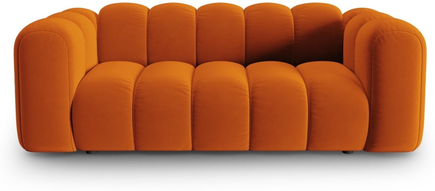 Micadoni Sofa Lupine 2-Sitzer Samtstoff Terrakotta Bild 1