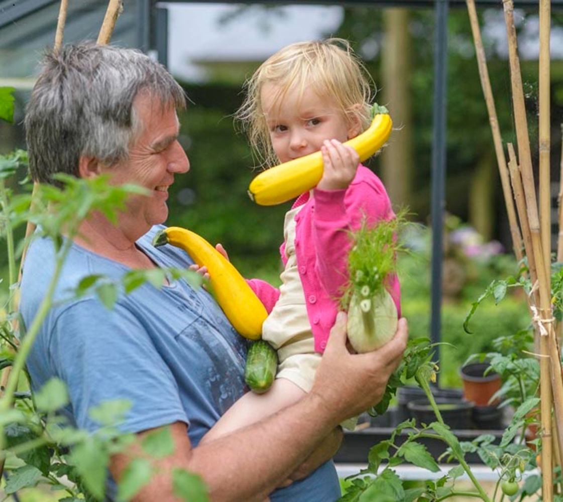 ACD Glas Gewächshaus Piccolo P03 | Silber | Bild 1