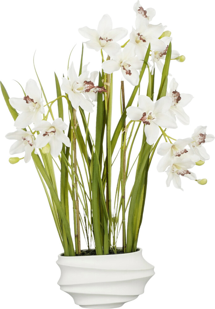 Mica Cymbidium im Topf creme 49 x 40 x 81 cm Bild 1